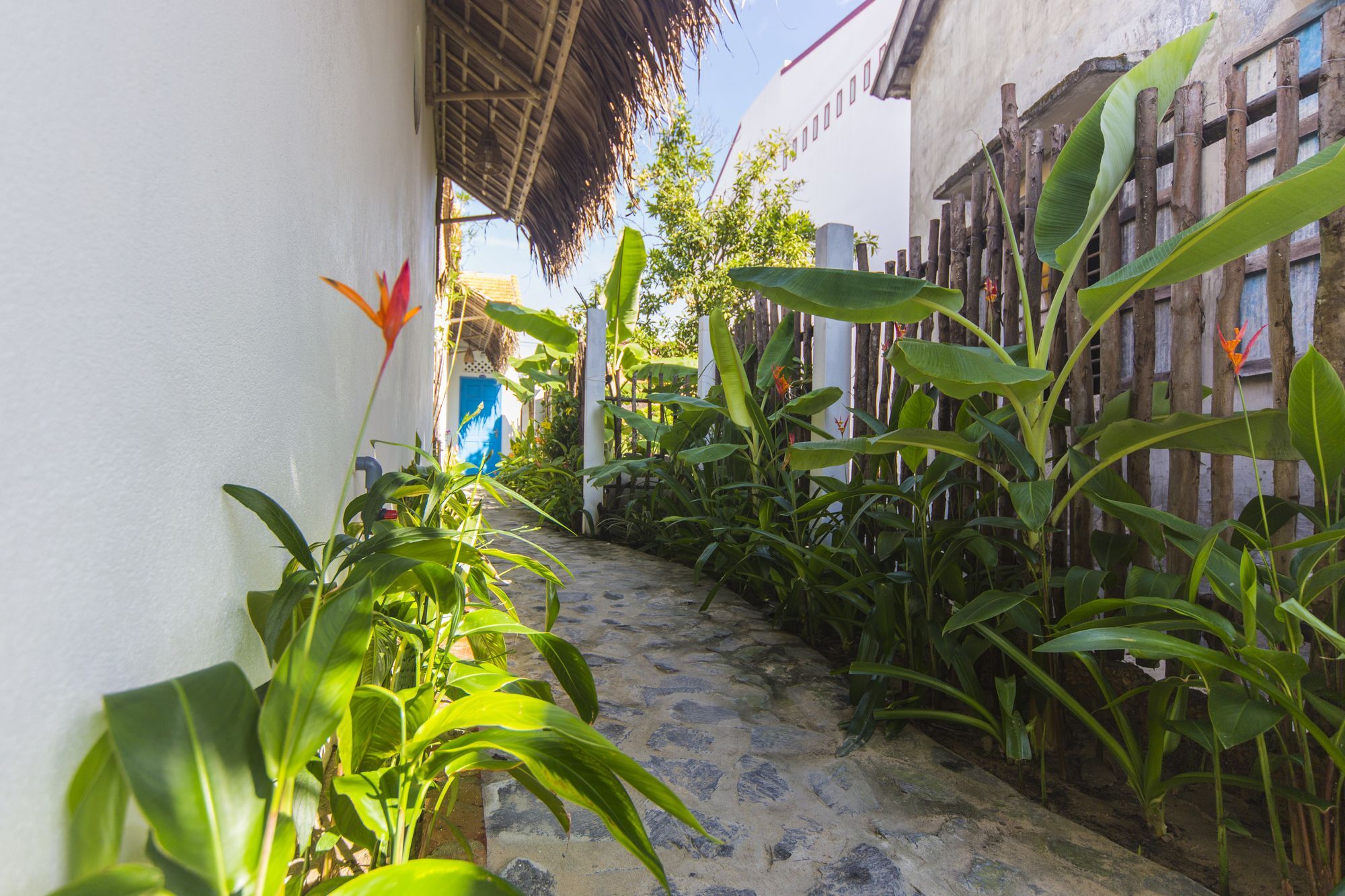 Cashew Tree Bungalow Hoi An Exterior photo